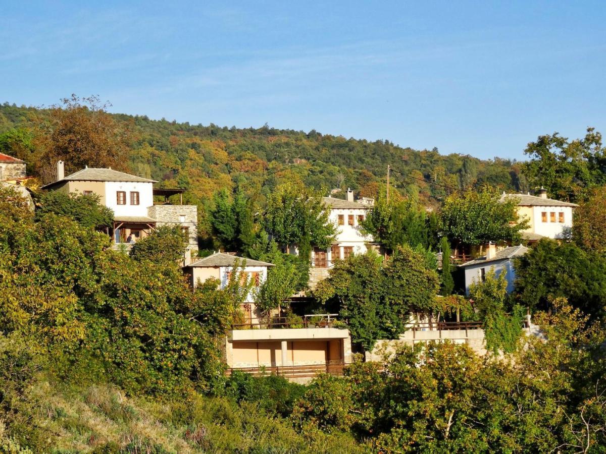 Pelion Homes Villa Iris Private Pool 4 Rooms Pilion Zewnętrze zdjęcie