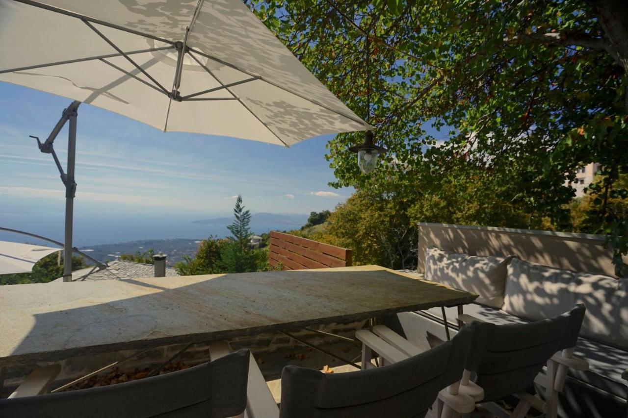 Pelion Homes Villa Iris Private Pool 4 Rooms Pilion Zewnętrze zdjęcie
